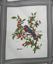 Load image into Gallery viewer, HANDMADE 50s style BIRD PRINT NOVELTY FULL SKIRT - 25-26"