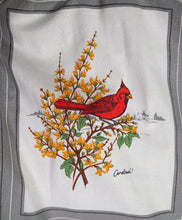 Load image into Gallery viewer, HANDMADE 50s style BIRD PRINT NOVELTY FULL SKIRT - 25-26"