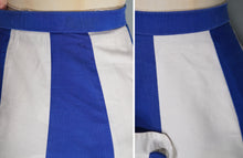 Load image into Gallery viewer, 50s BLUE WHITE STRIPE PANELLED FULL SKIRT WITH STRAP AND BUTTON DETAIL - 30"